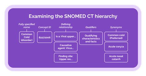 snomed medical terminology pdf